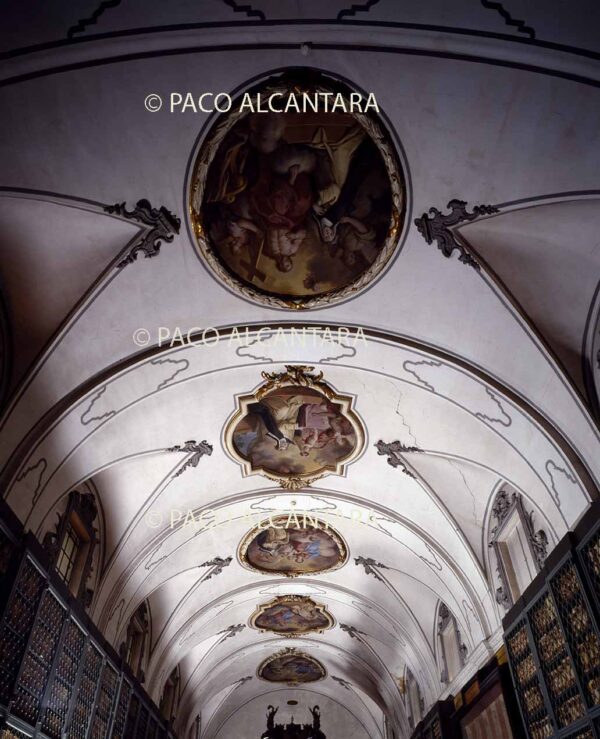 Capilla Santa Rosa de Lima. Bóveda.