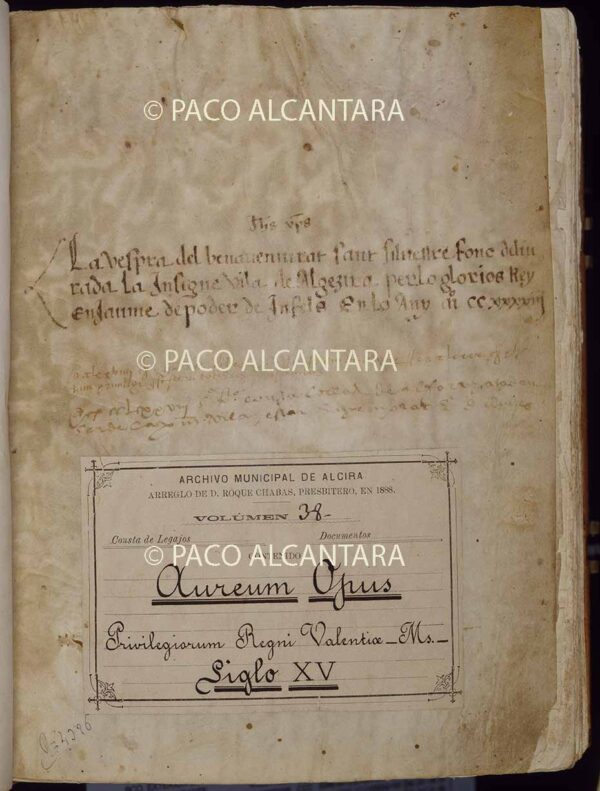 Libro de Privilegios.