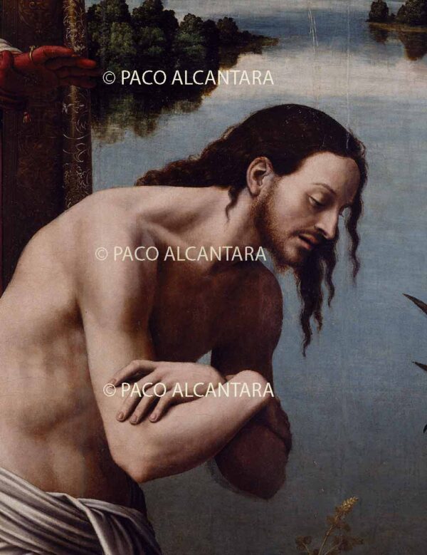 Bautismo de Cristo.Detalle