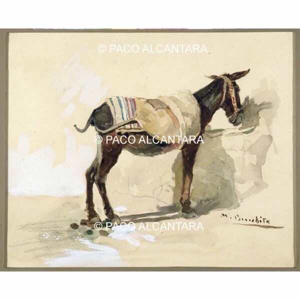 4393-Pintura-Burro