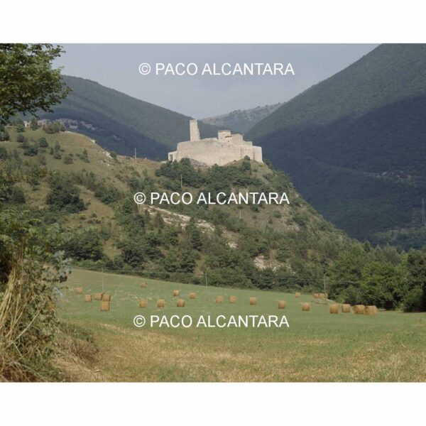 4529-Arquitectura-Castillo