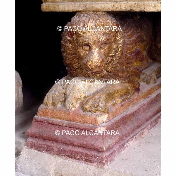 4765-Escultura-Pata con forma de león. Sepulcro de los Vallterra