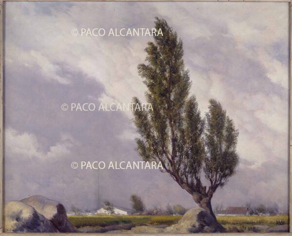 Paisaje con árbol